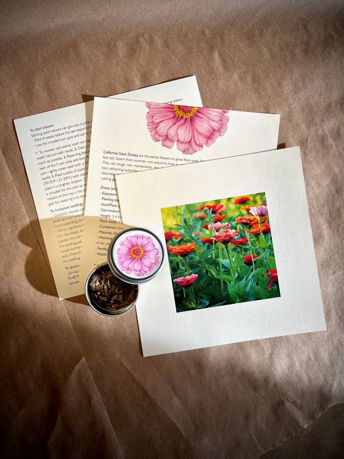 Flower Cutting Garden Box - Mixed Zinnia