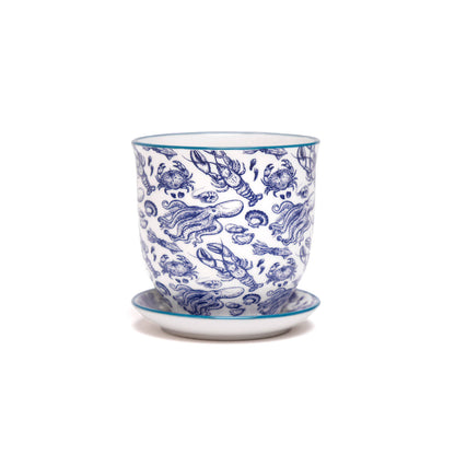 Liberte  Indoor plant pots with drainage 3 & 5 inch planter