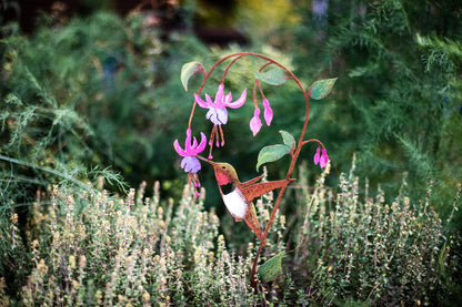 Hummingbird on Fuchsia Pick -Painted
