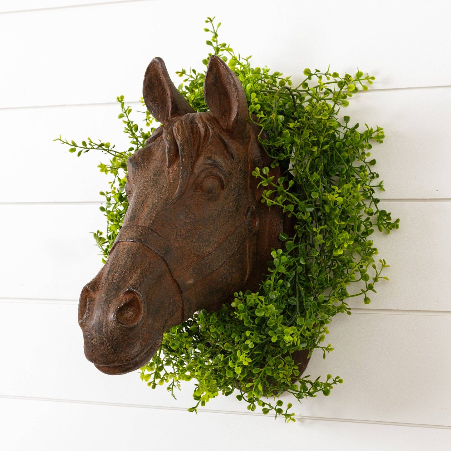 Horse Head Wall Mount