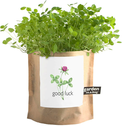 Garden Sprinkles - Good Luck Clover
