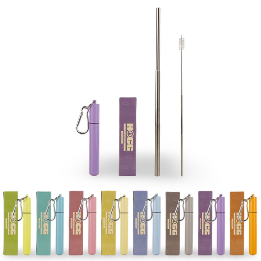 Collapsable Metal Straw Keychain w/ Cleaner