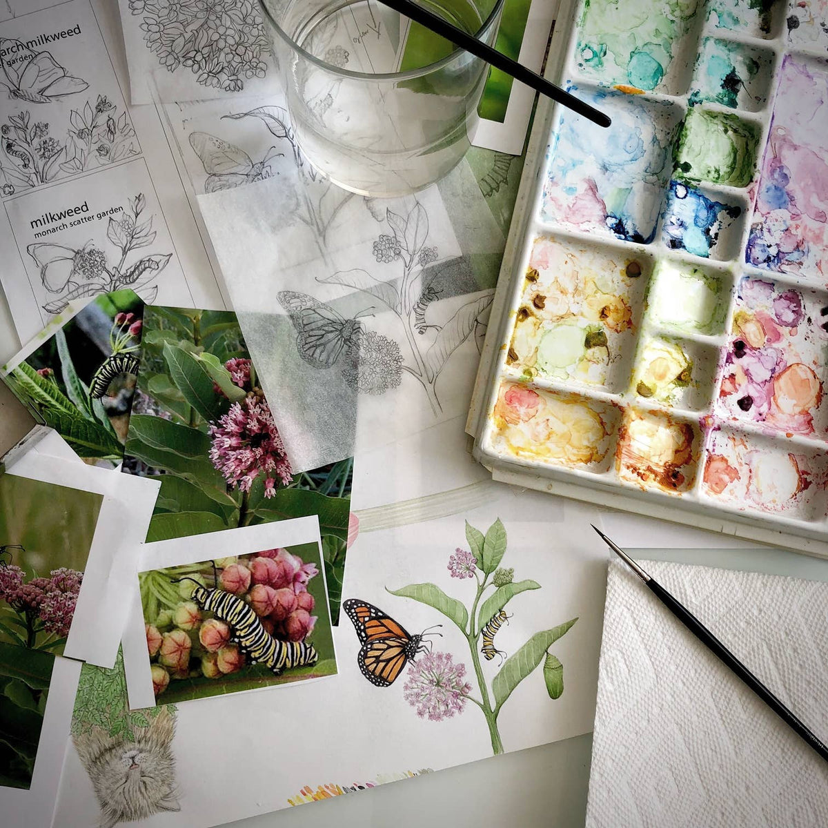 Garden Sprinkles | Monarch Butterfly Flower Garden | Spring