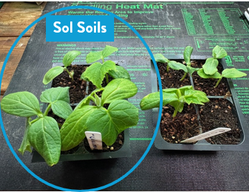 Soil (1Gal) Seedling & Propagation Mix