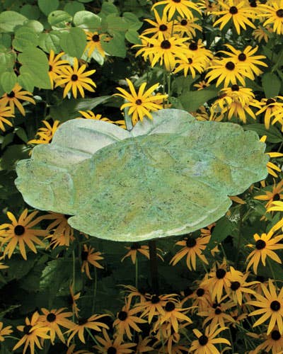 Green Leaf Bird Bath