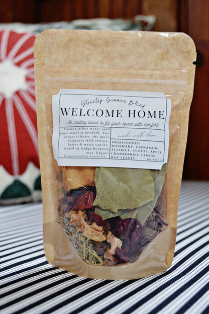 Simmer Pot Kit Stovetop-Welcome Home