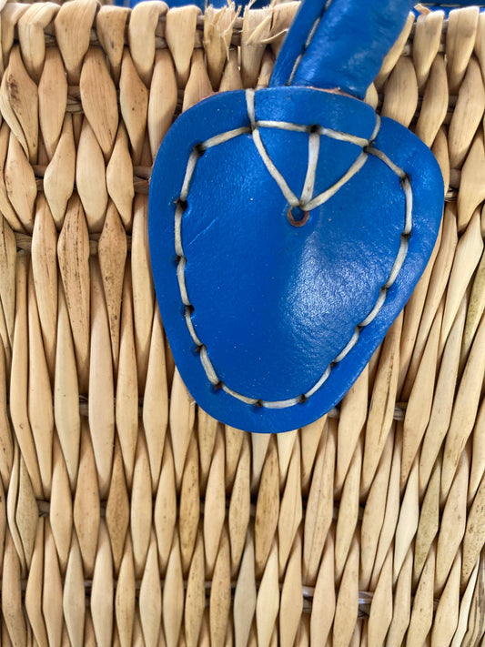 Water Reed with Light Blue Handles