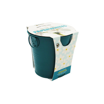 Holiday Paperwhite Bulb Grow Pail | Winter Flower Gift Kit