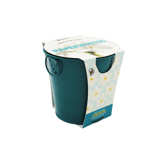 Holiday Paperwhite Bulb Grow Pail | Winter Flower Gift Kit