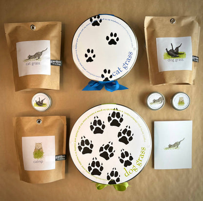 Garden Sprinkles Catnip | Organic Fall & Holiday Cat Treat