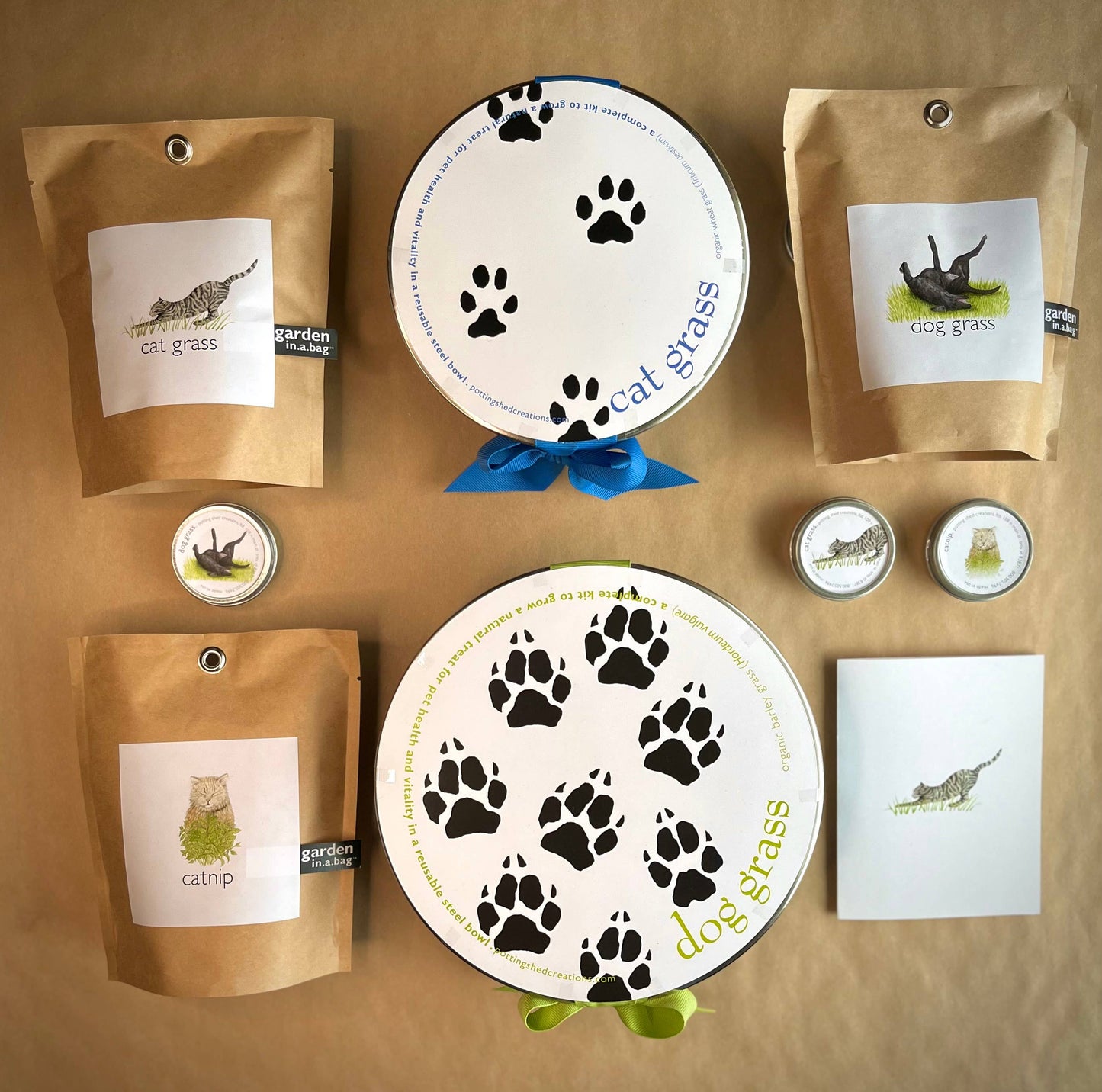 Garden in a Bag | Cat Grass | Spring Pet Treat Gift
