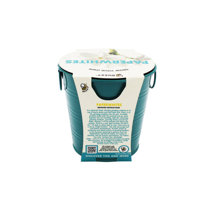 Holiday Paperwhite Bulb Grow Pail | Winter Flower Gift Kit
