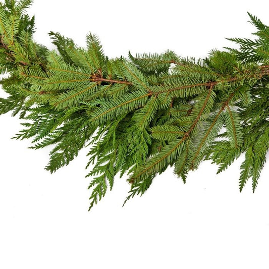 25-Foot Fresh Mixed-Evergreen Roping | Canopy Holiday Greens