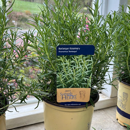 Herbs Assorted