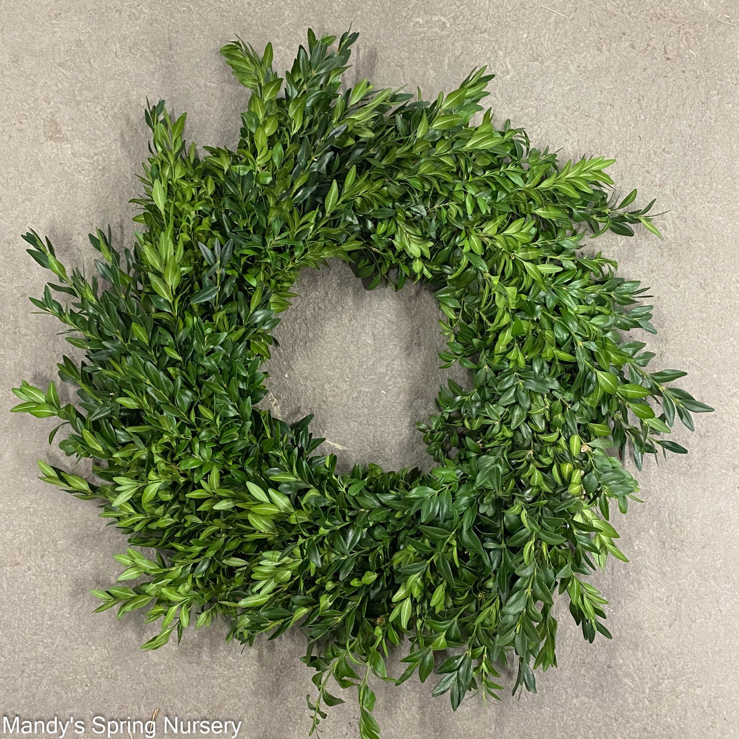 Custom Boxwood Wreath 12" - Hypoallergenic NO BOW (PRE-ORDER)