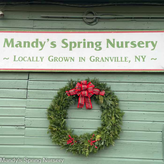 Wreath Mixed greens all sizes' (PRE-ORDER)