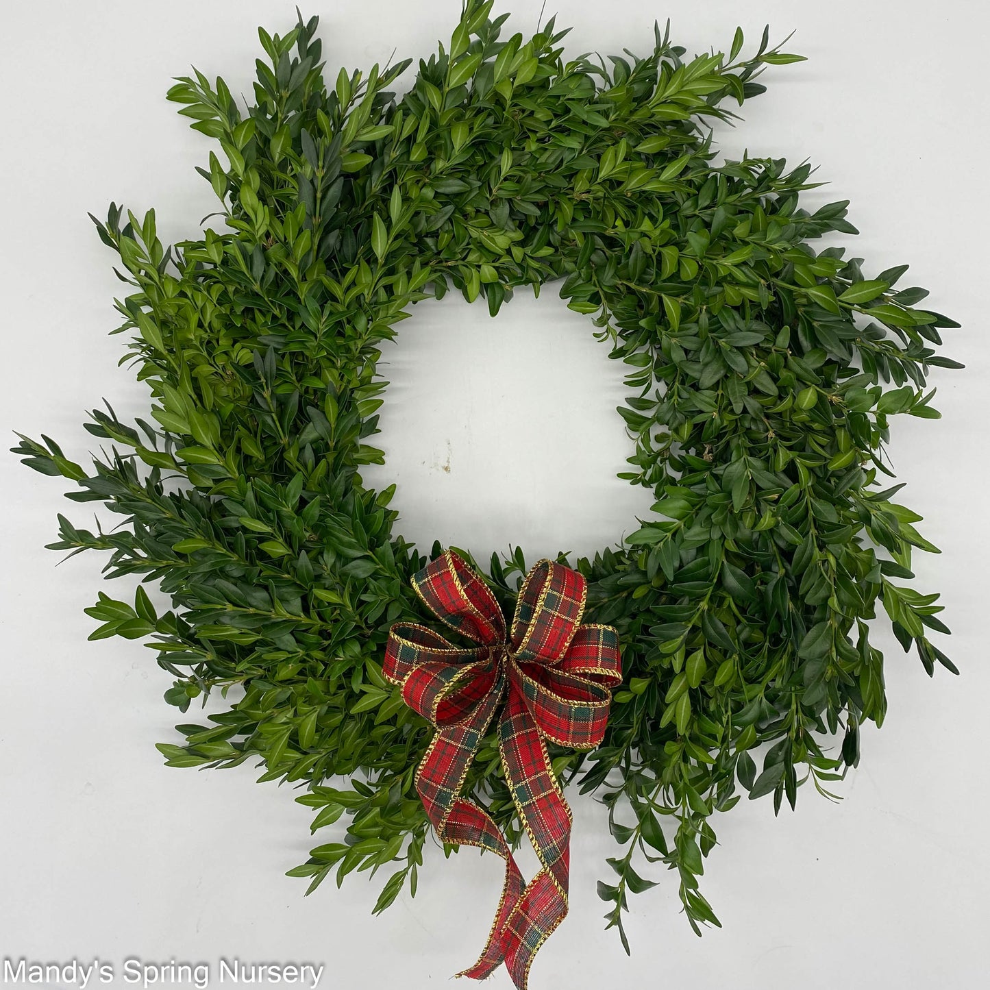Custom Boxwood Wreath 12" - Hypoallergenic NO BOW (PRE-ORDER)