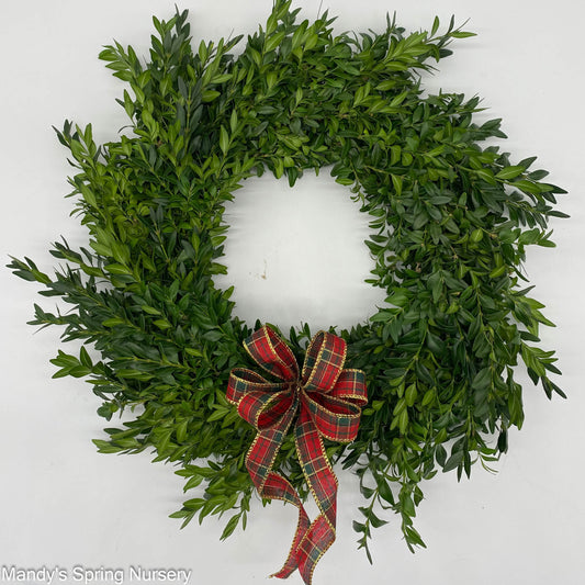 Custom Boxwood Wreath 12" - Hypoallergenic (PRE-ORDER)