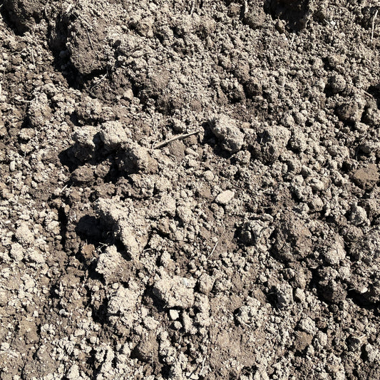Bulk Screened Top Soil/Loam