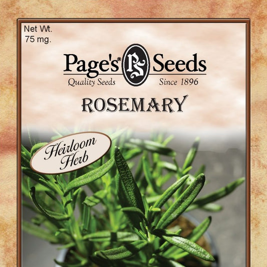 Rosemary, Herb