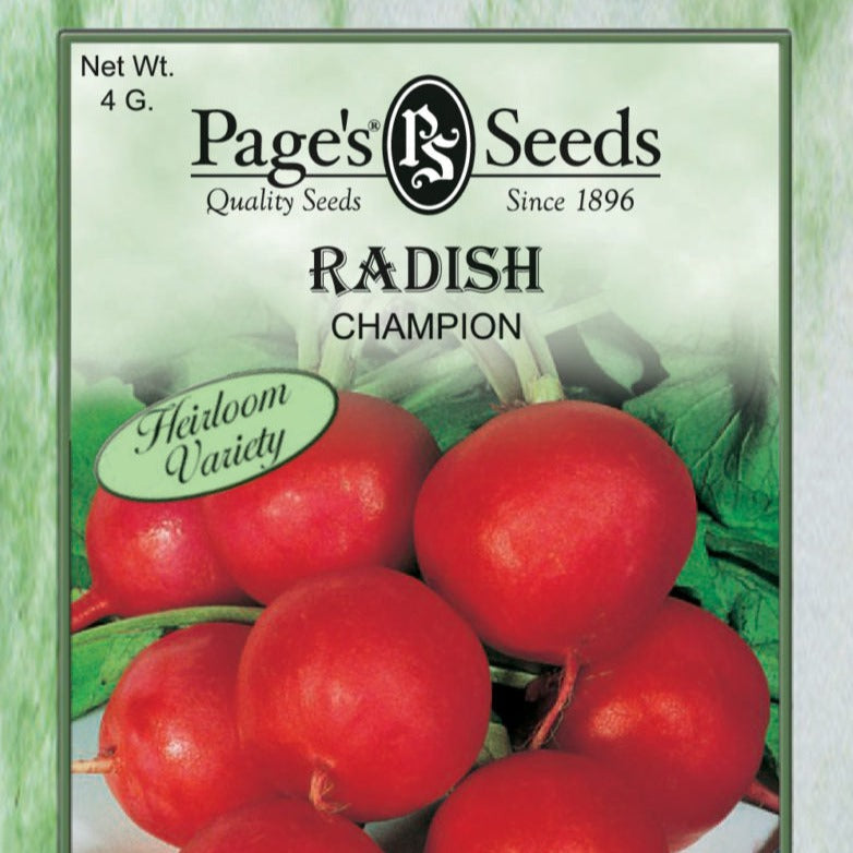 Radish - Champion Seeds