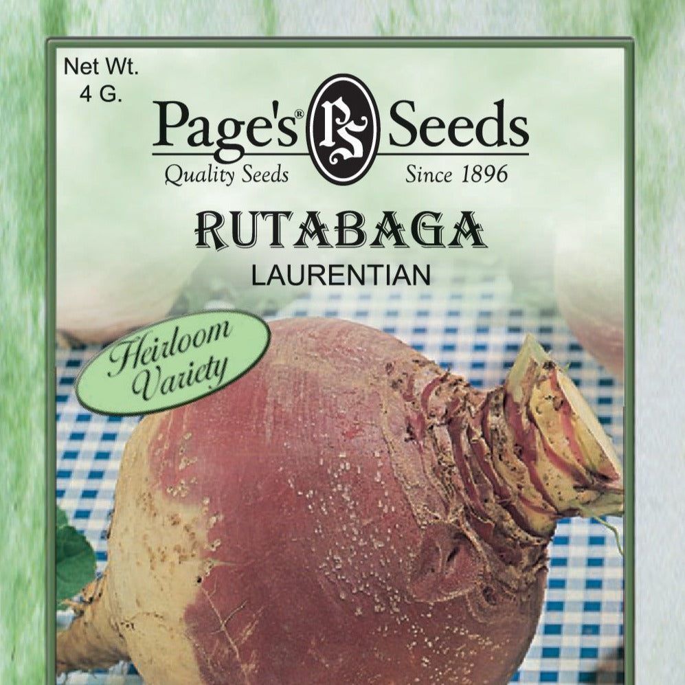 Rutabaga- Laurentian