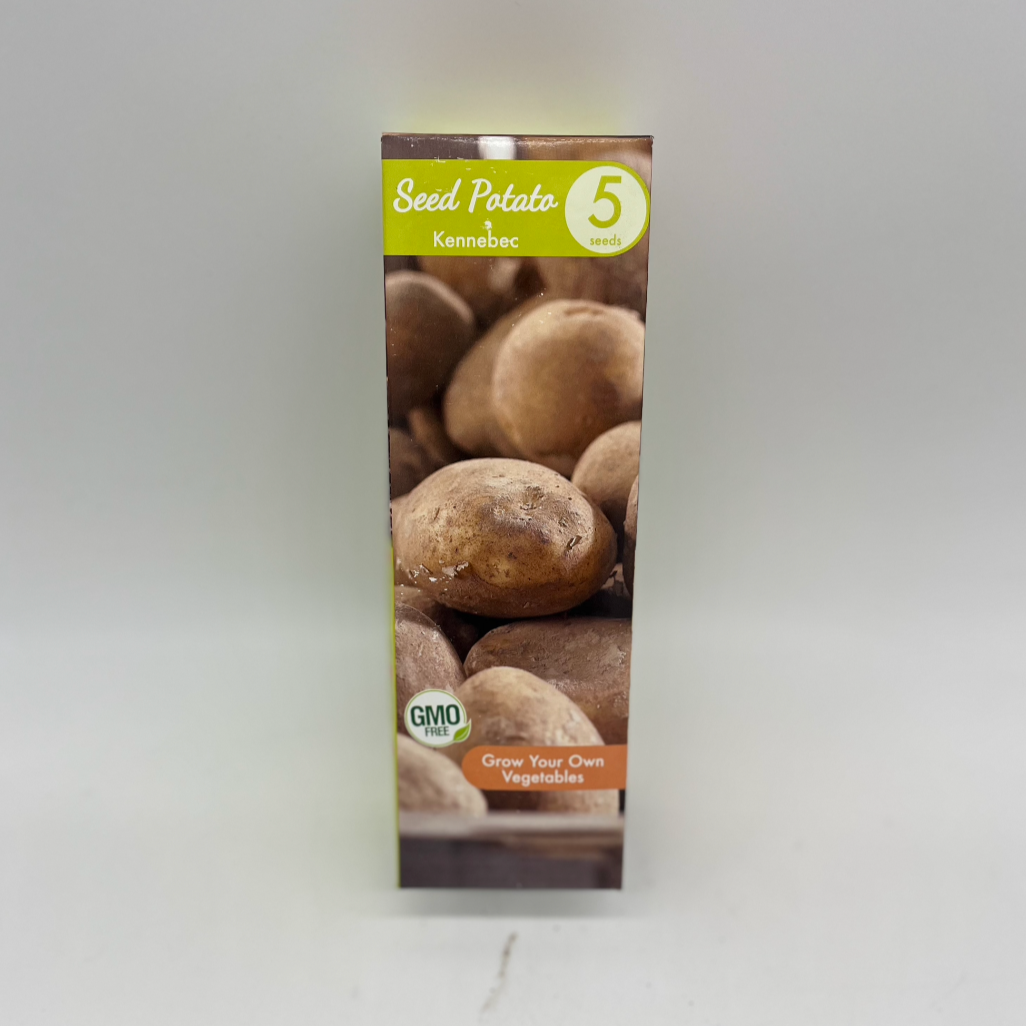 Potato - Kennebec | 5 Seeds