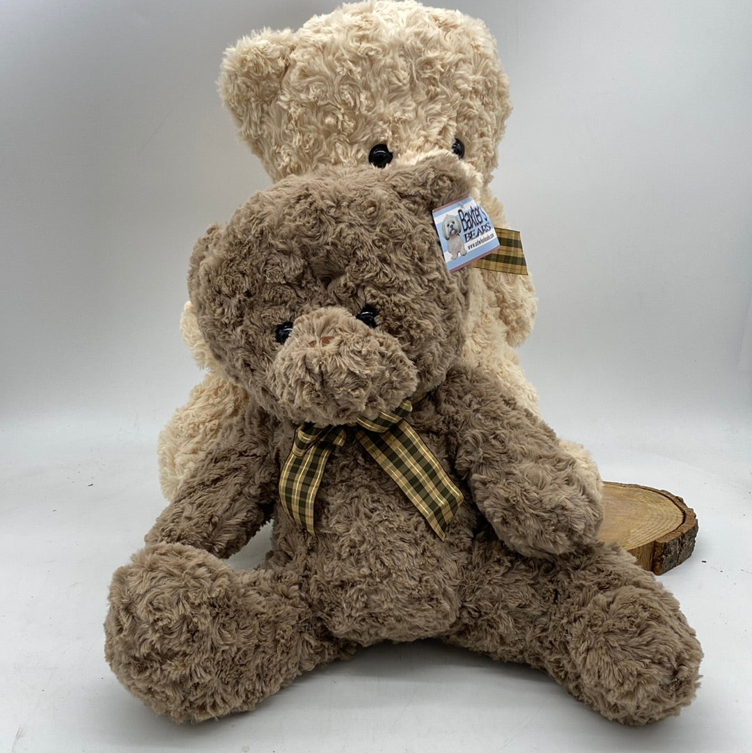 Baxter's  Plush Bear