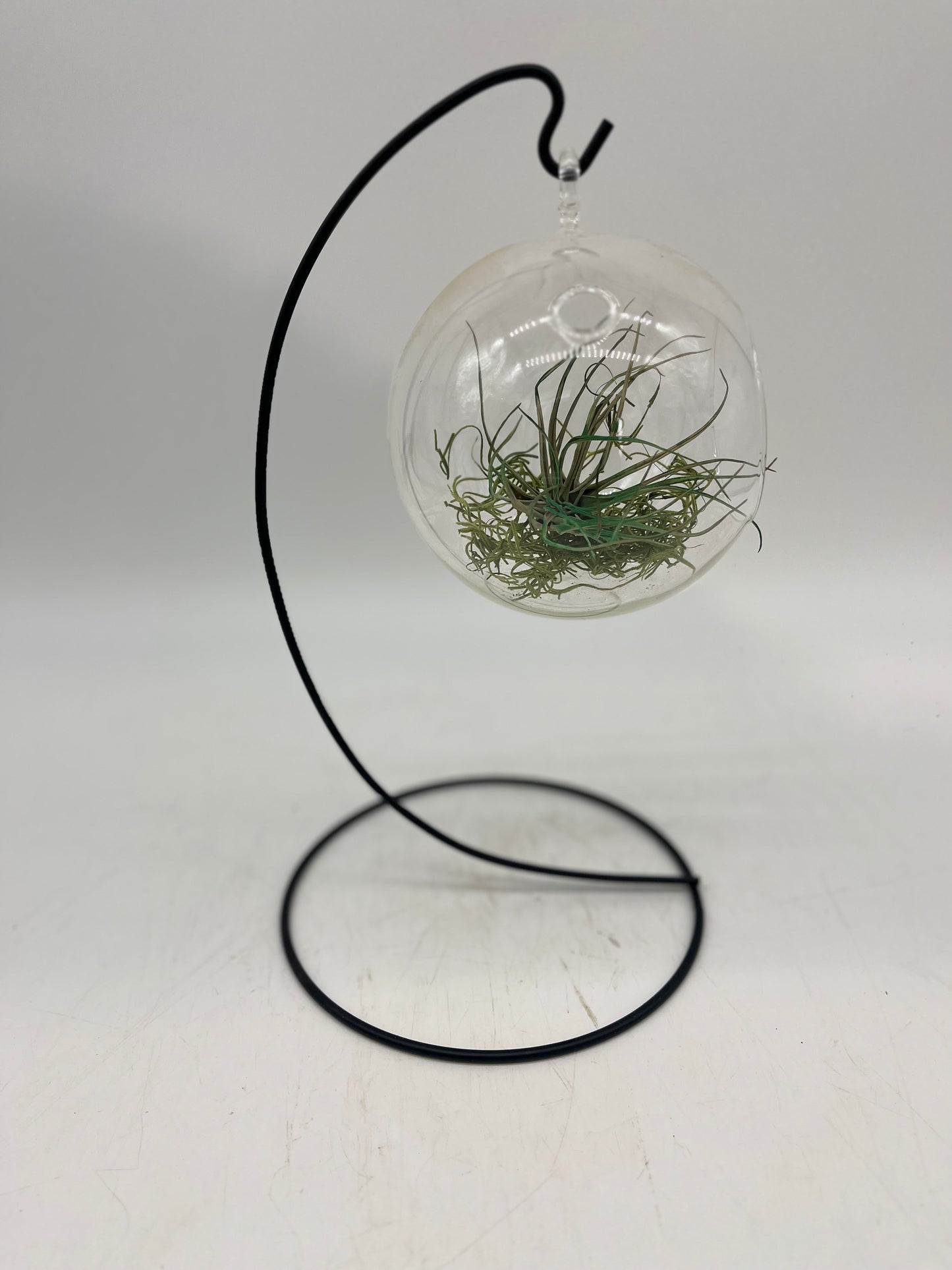 Hanging Terrarium Stand Crystal