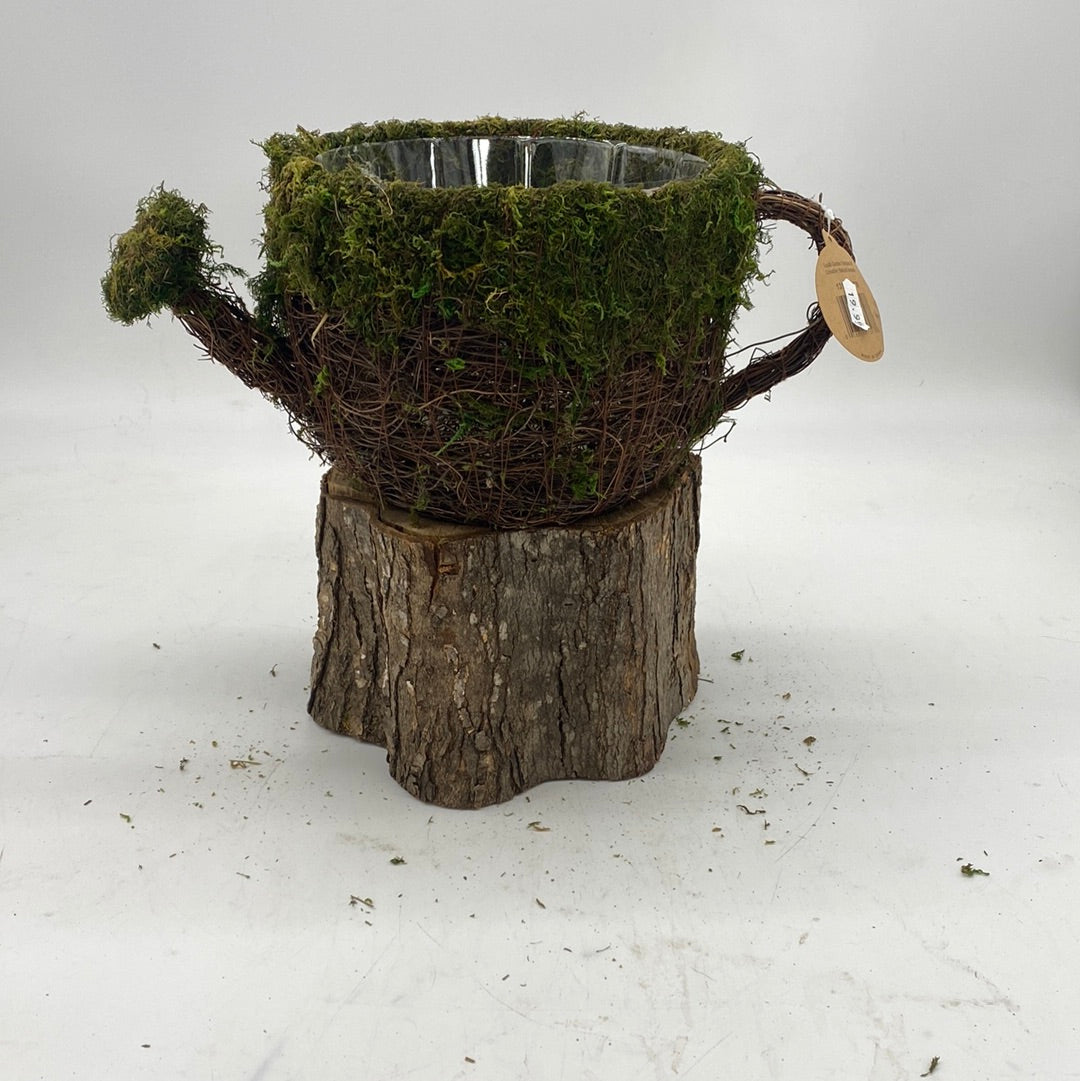 Moss Planters