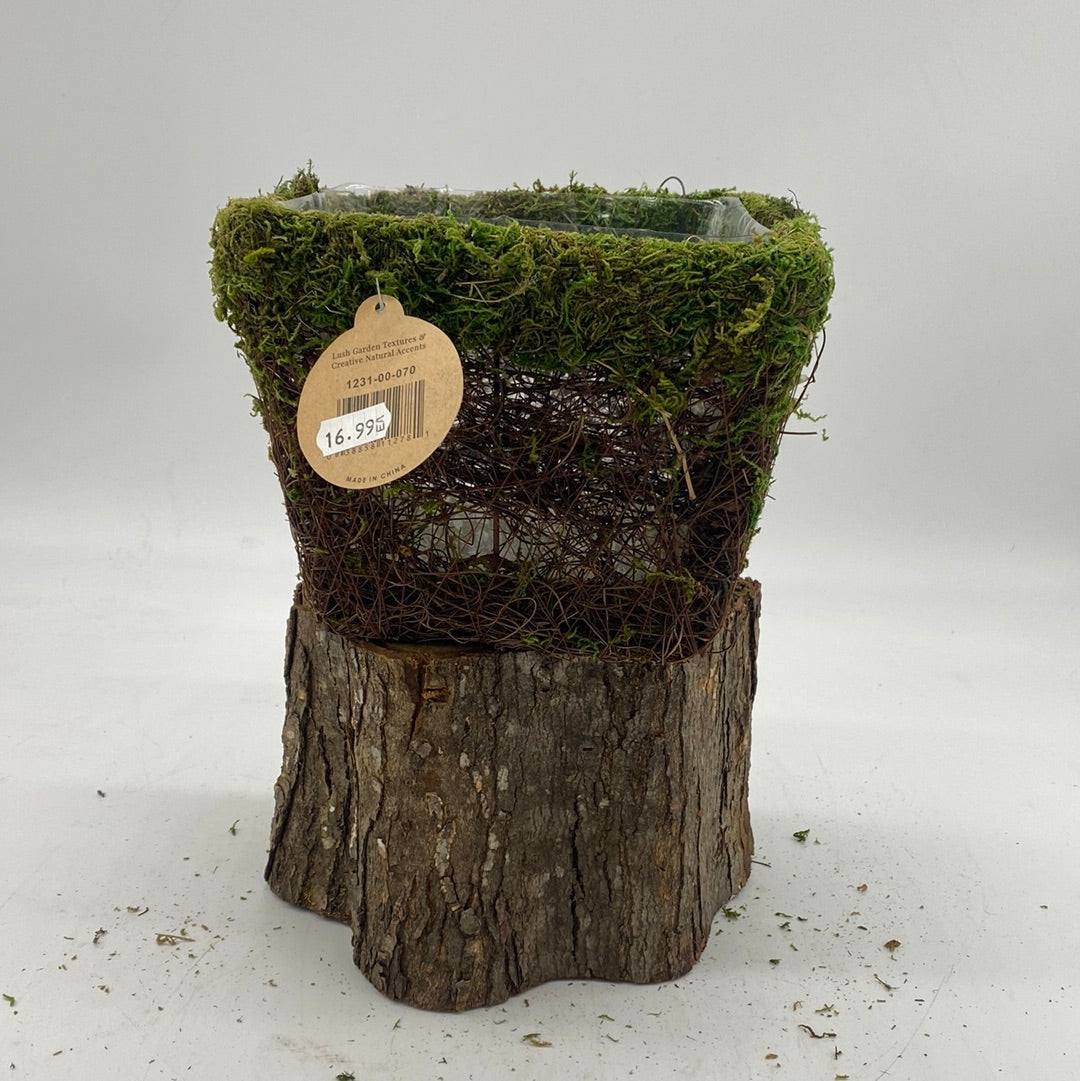 Moss Planters