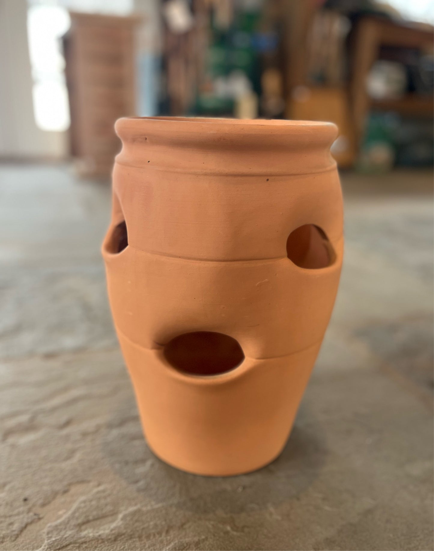 Strawberry Jar Terracotta Planter - 6 pocket