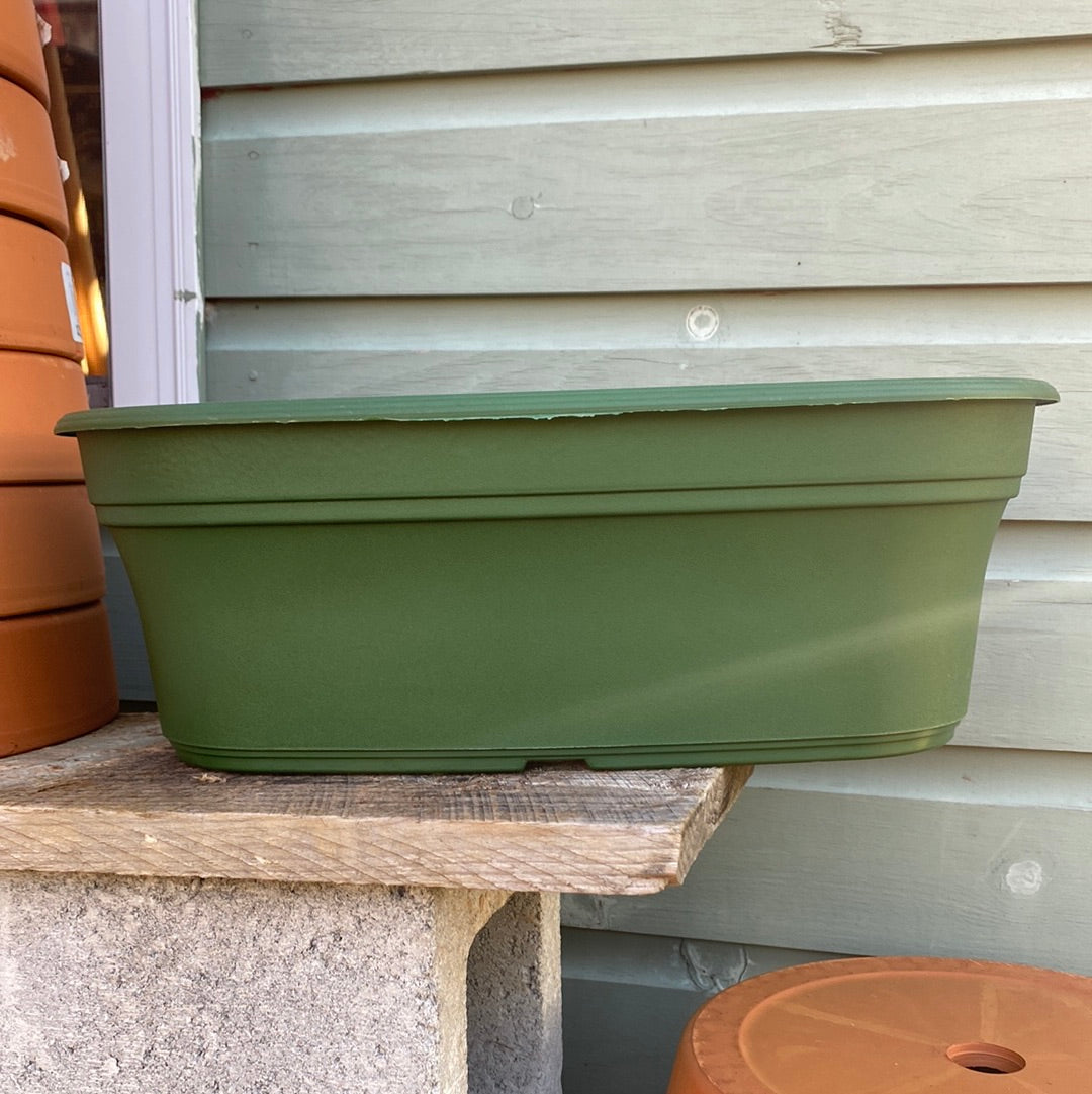 Panterra Oval Pot-Green