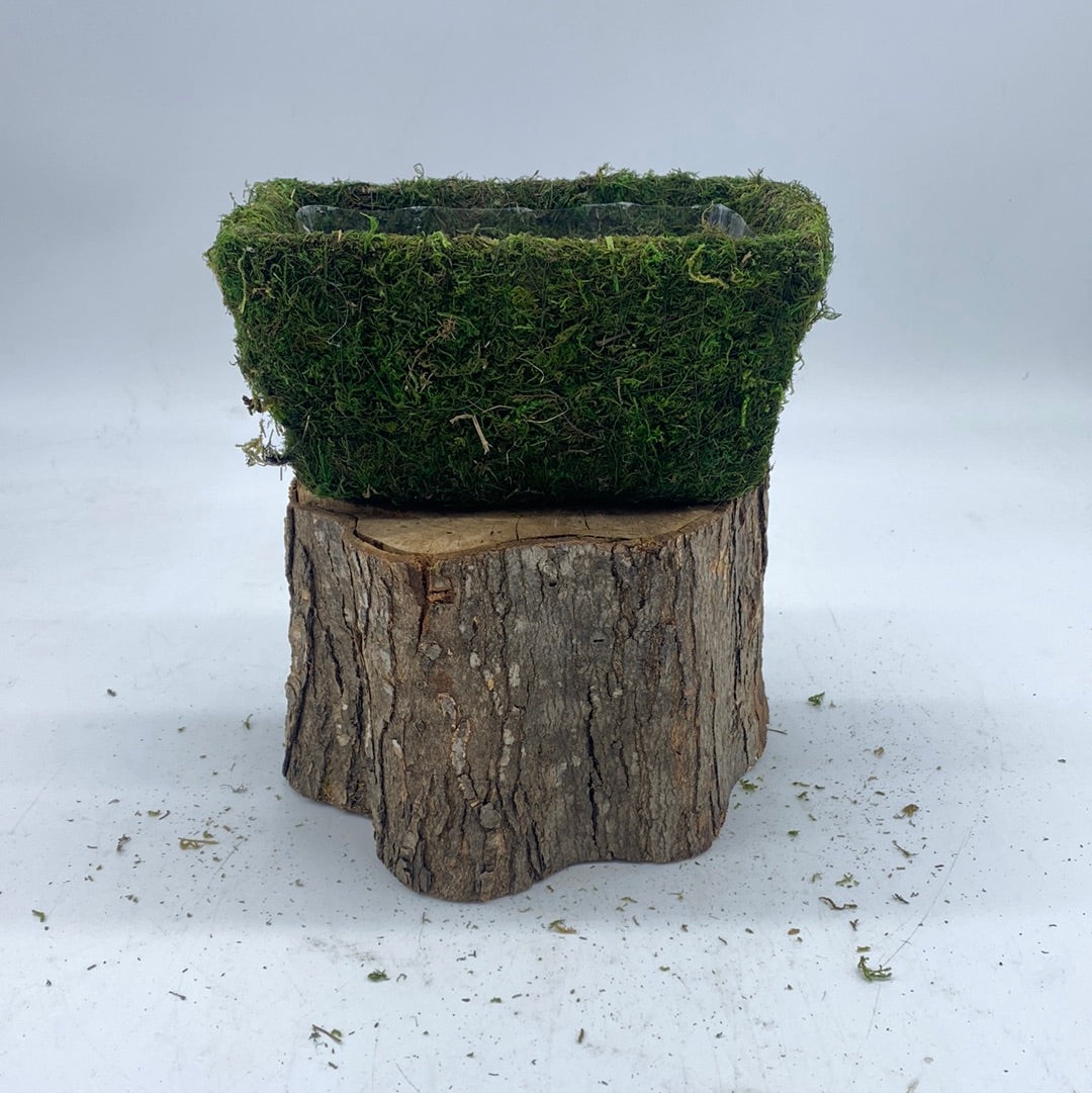 Moss Planters