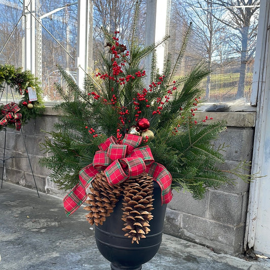 Patio Pot-Mixed Greens