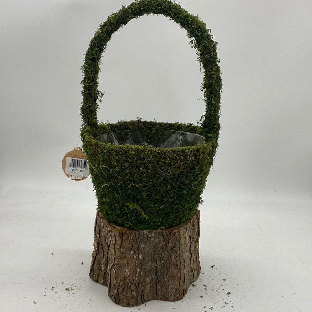 Moss Planters